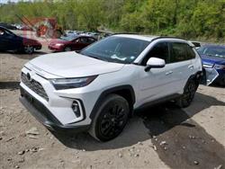 تۆیۆتا ڕاڤ 4